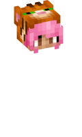 Skinfile