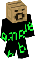 Skinfile