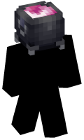 Skinfile