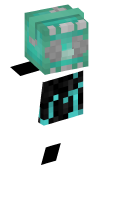 Skinfile
