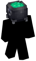 Skinfile
