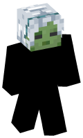 Skinfile