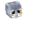 Skinfile