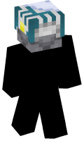 Skinfile