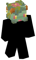 Skinfile