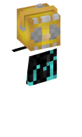 Skinfile