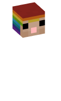 Skinfile