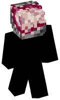 Skinfile