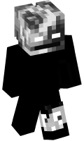 Skinfile