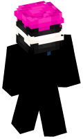 Skinfile