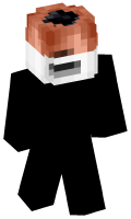 Skinfile
