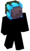 Skinfile