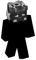 Skinfile