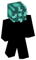 Skinfile
