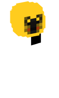 Skinfile