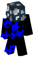 Skinfile