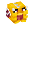 Skinfile
