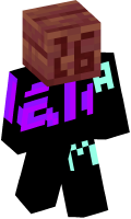 Skinfile