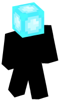 Skinfile