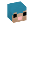 Skinfile