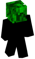 Skinfile