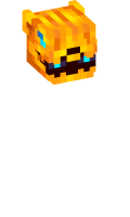Skinfile