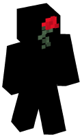 Skinfile