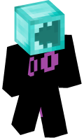 Skinfile