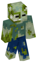 Skinfile