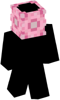 Skinfile