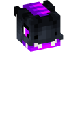 Skinfile