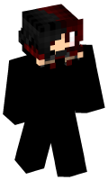 Skinfile