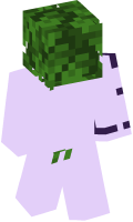 Skinfile