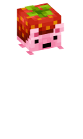 Skinfile