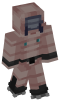 Skinfile