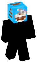 Skinfile