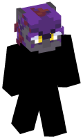 Skinfile