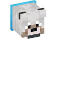 Skinfile