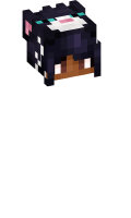 Skinfile