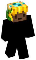 Skinfile