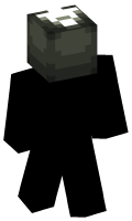 Skinfile