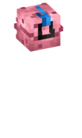 Skinfile