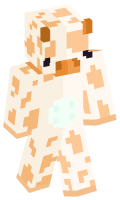 Skinfile
