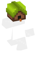 Skinfile