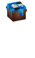 Skinfile