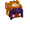 Skinfile