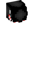 Skinfile