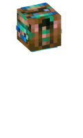 Skinfile