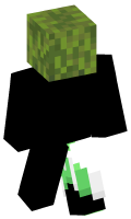 Skinfile