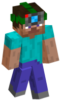Skinfile